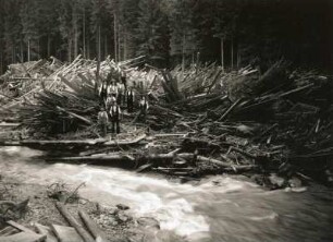Unwetterkatastrophe im Osterzgebirge am 8./9. Juli 1927. Müglitztal. Holzbarre (angeschwemmtes Holz) bei Bärenstein