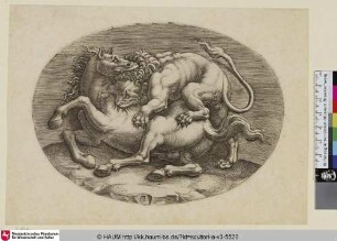 Combat d'un lion et d'un cheval
