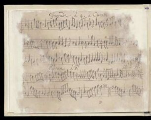 19. Intrada