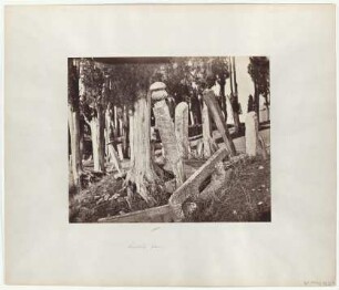 Konstantinopel: Türkischer Friedhof in Scutari