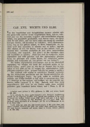 Cap. XVII. Wichte und Elbe.