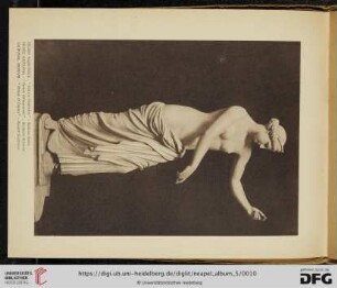 Venere Vincitrice