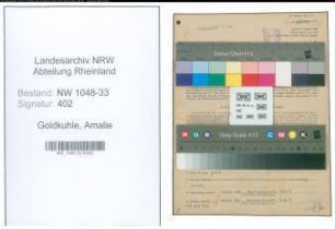 Entnazifizierung Amalie Goldkuhle , geb. 06.02.1913 (Angestellte)