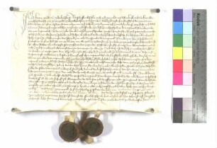 Erblehenrevers gegen Hans Schmid, gennant Köllin, zu Ulm über Mähder zu Unterweiler