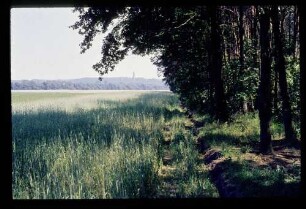 Gatower Feld 3.7.76.