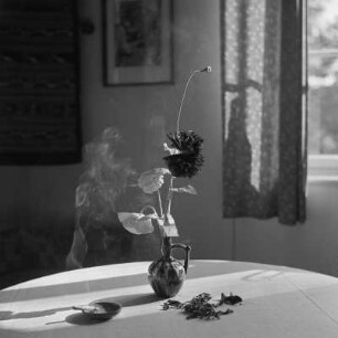 Vase mit Mohnblume und Dahlie im Teupitzer Wochenendhaus.