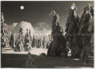 Winterlandschaft, Harz