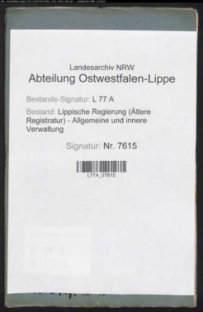 Polnische Flüchtlinge