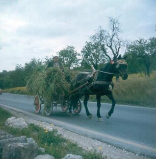 Sizilien. Pferdefuhrwerk