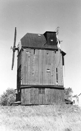 Jesewitz-Gallen. Eckard Mühle, Paltrockmühle (1924 umgebaute Bockmühle)