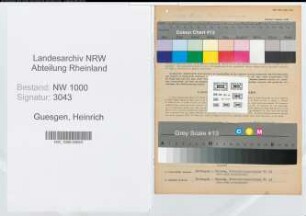 Entnazifizierung Heinrich Guesgen, geb. 13.12.1899 (Landwirt)