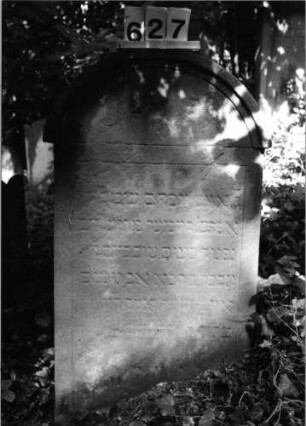 Grabstein 627 (Index: 99802918) Material: Sandstein Zustand: unten völlig verwittert/Textverlust Maße HxBxT: 98x59x12 cm Beschreibung: Stele mit verdachtem Rundbogen: Grabstein 627