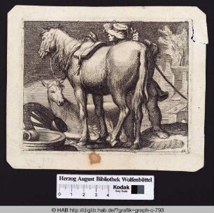 Ein Mann beim Besatteln eines Pferdes