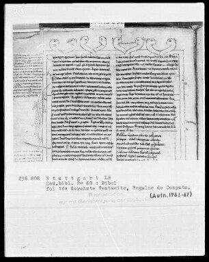 Bibel —