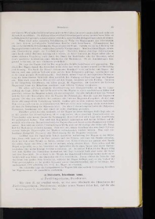 Zwölffingerdarm, Duodenum.
