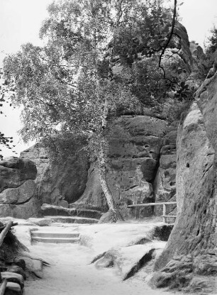 Sächsische Schweiz : Sächsische Schweiz. Bastei-Massiv bei Rathen, Felsentor Neurathen