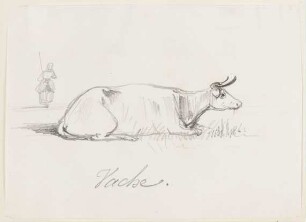Vache