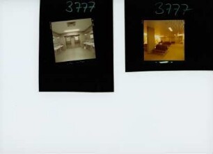 Kurklinik, 1977
