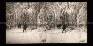 Verschneiter Waldweg mit Soldat und Pferdegespann