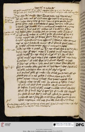 Kurze Texte und Textauszüge