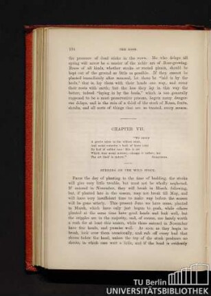 Chapter VII. Budding on the wild stock.