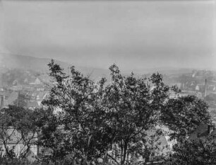 Stadtblick : Blick über eine Stadt, der durch Baumkronen teilweise versperrt wird