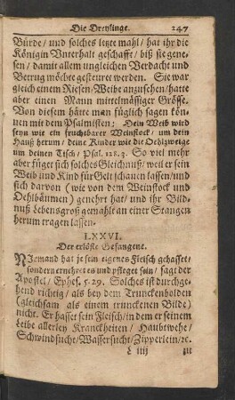 LXXVI. Der erlöste Gefangene.