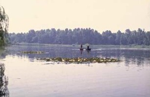 Fischtuppen