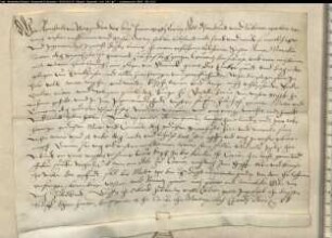Corveyscher Lehnbrief für das Kloster Nazareth über Güter vor Stormede und Erinckhusen.