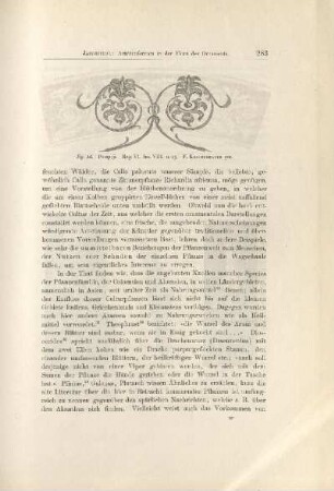 Fig. 14. Pompeji