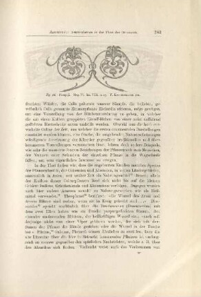 Fig. 14. Pompeji