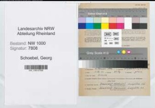 Entnazifizierung Georg Schoebel, geb. 04.01.1886 (Vers.Angest.)