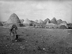 Araberdorf bei Aleppo