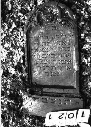 Grabstein 1021