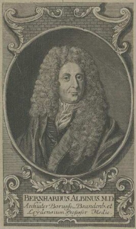 Bildnis des Bernhardus Albinus