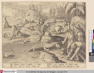 [Krokodiljagd; Crocodile hunt]