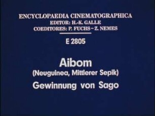 Aibom (Neuguinea, Mittlerer Sepik) - Gewinnung von Sago