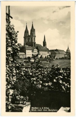 Meißen. Burgberg