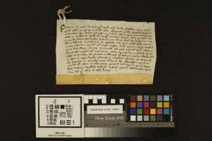 Mainz (St. Stephan): Indulgenzbrief des Bischofs zu Brandenburg für das St. Stephansstift zu Mainz