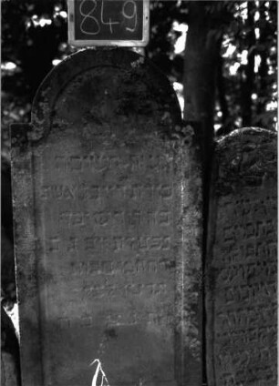 Grabstein 849 (Index: 100102937) Material: Sandstein Zustand: gut erhalten, stark bewachsen Maße HxBxT: 136x61x8 cm Beschreibung: Stele, eingezogener Rundbogenabschluss, Schriftfeld eingetieft mit Konvexbogenabschluss: Grabstein 849