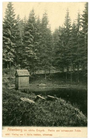 Altenberg. Am schwarzen Teich