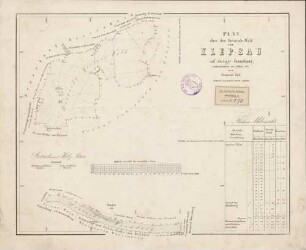 Plan über den Gemeinde-Wald von Klepsau auf dortiger Gemarkung