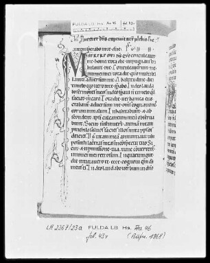 Psalterium cum Canticis — Initiale M (iserere) mit Randausläufer und Vögeln, Folio 43verso