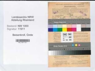 Entnazifizierung Grete Beisenkroll, geb. 14.05.1896 (Verwalutngsangestellte)