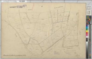 Coesfeld Stadt und Kirchspiel, Lette (Coesfeld), Umlegung Flamschen, Urkarte II Coesfeld, Kspl. Flur 37