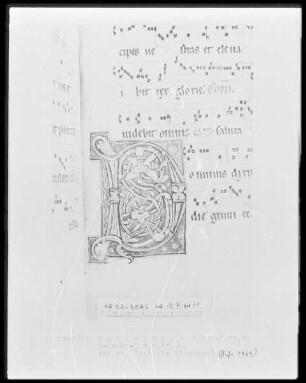 Graduale — Initiale D(ominus), Folio 11recto