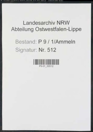 Sterberegister Standesamt Ammeln
