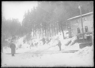 Grillenburg. Im Seerental im Winter mit Pferdeschlitten