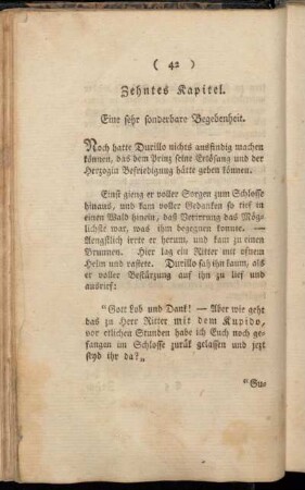 Zehntes Kapitel. Eine sehr sonderbare Begebenheit.
