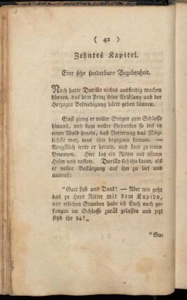 Zehntes Kapitel. Eine sehr sonderbare Begebenheit.
